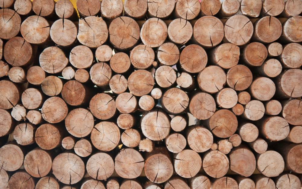 Bois près de Paulhan